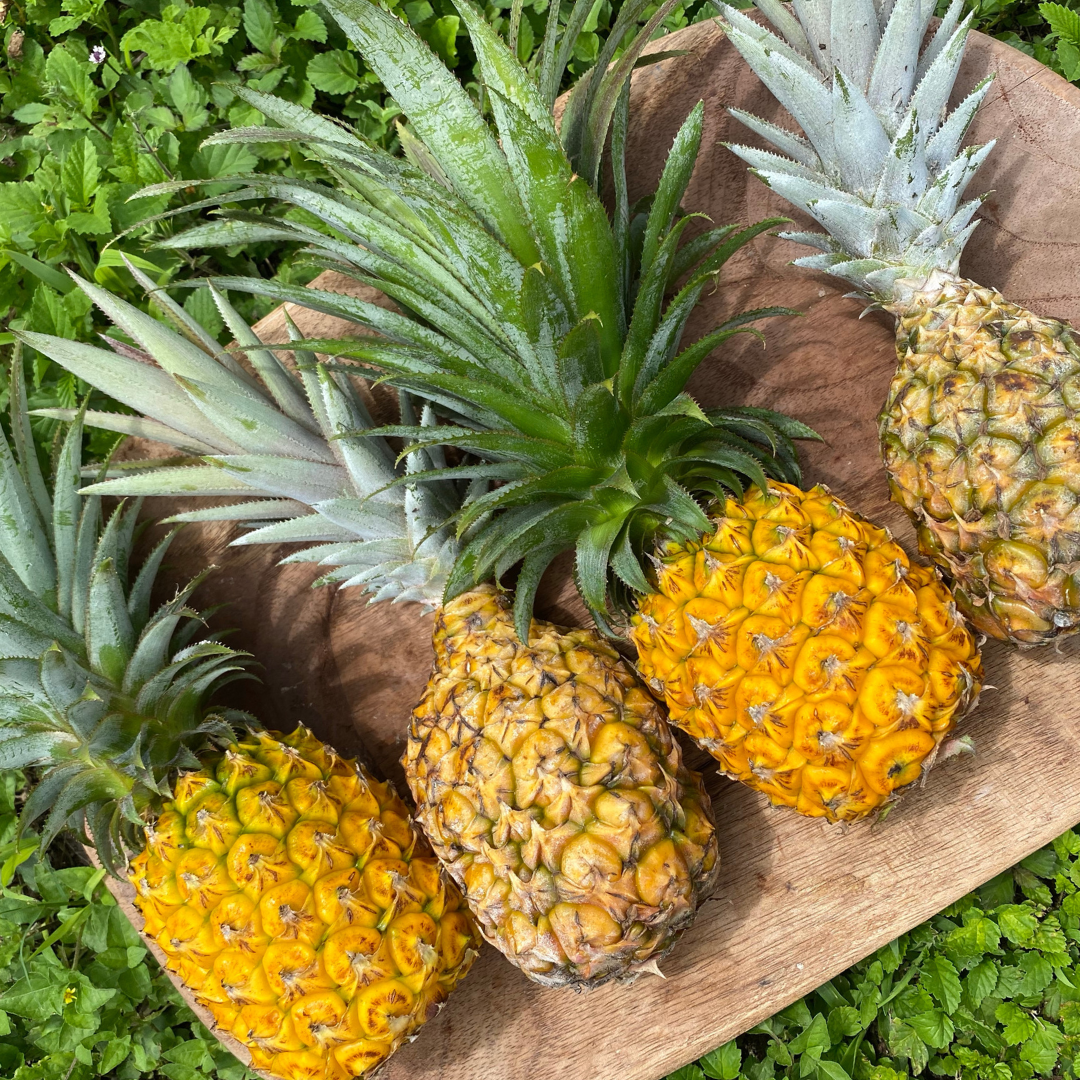 FREE Pineapple Box 🍍📦 💛 – Miami Fruit