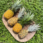 Pineapple Season 🍍 is making an entrance ✨