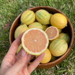 Pink Lemon season has arrived 💗 🍋