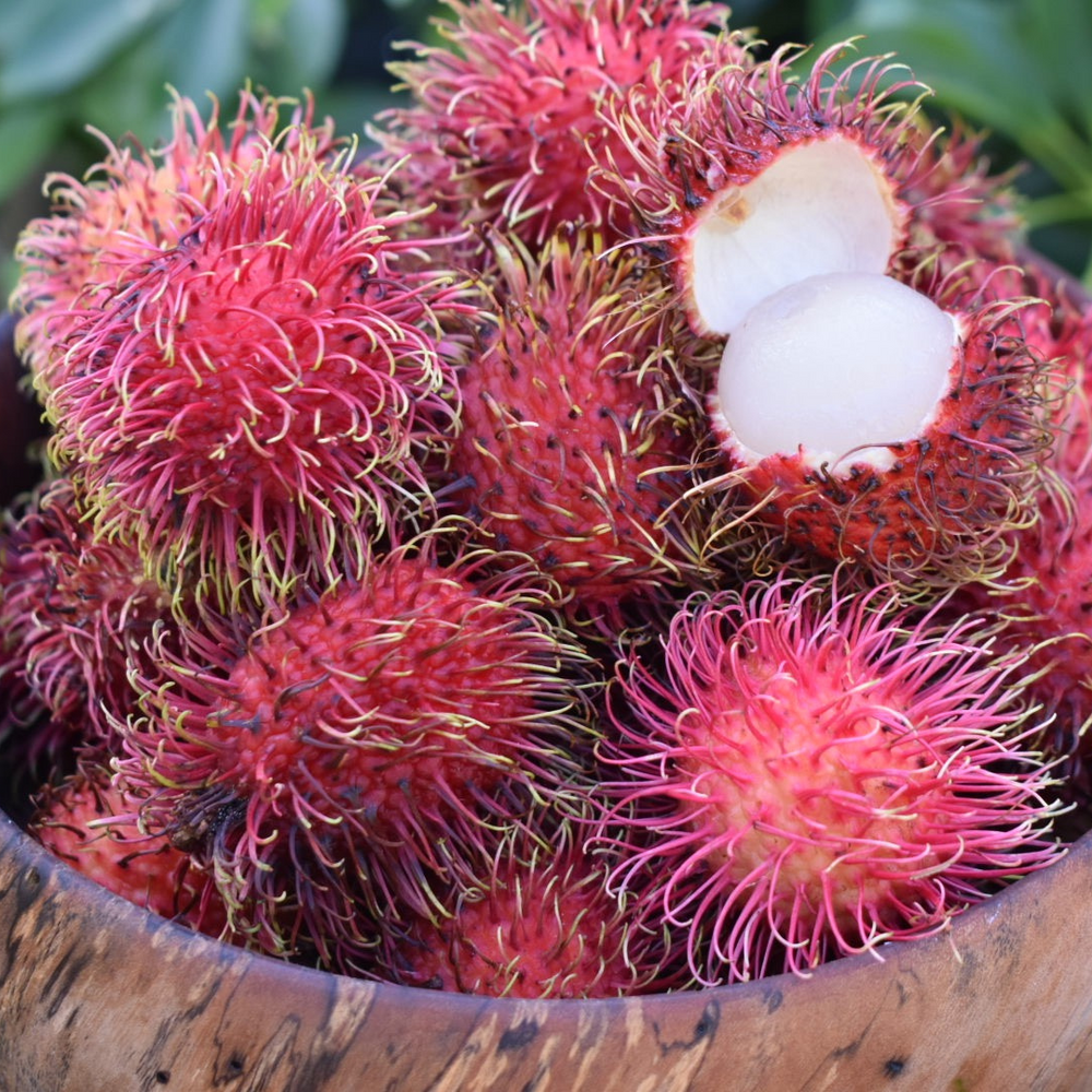 40% Off Rambutan & More For Black Friday! + Free Shipping 🎉