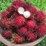 Rambutan is back in season ❤️