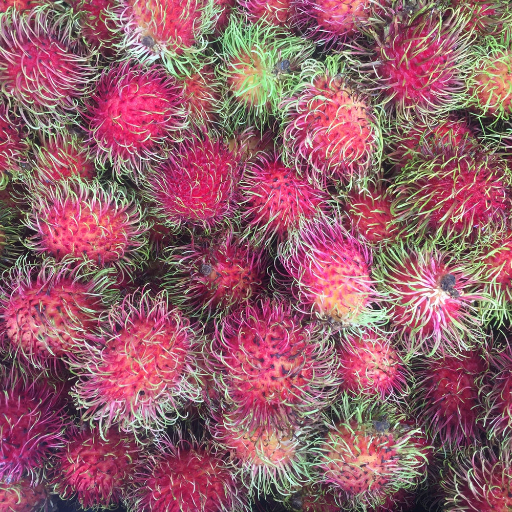 Rambutan SALE $15 Off + Free Shipping ❤️