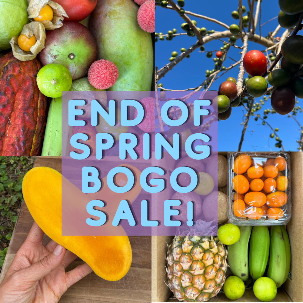 End of Spring BOGO 🥳 SALE✨