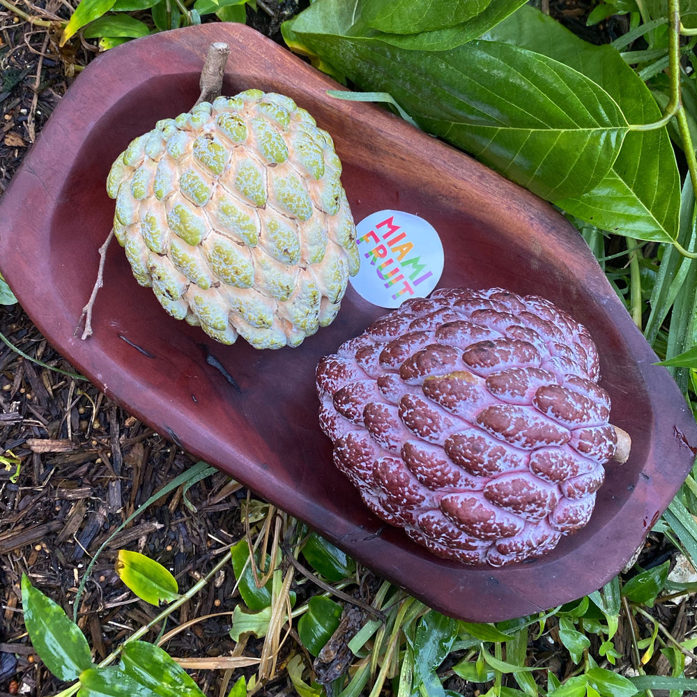 Sugar Apple Season is starting 💚💜