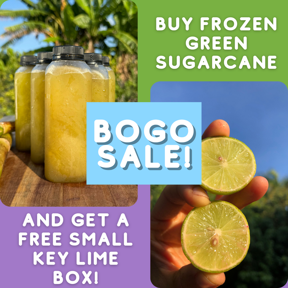 Sugarcane Juice + Key Lime BOGO🎋🍋‍🟩