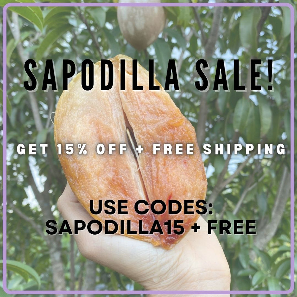 Sapodilla Sale! Get 15% off + FREE Shipping! 🥔✨
