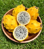 30% off Yellow Dragonfruit 💛 ✨