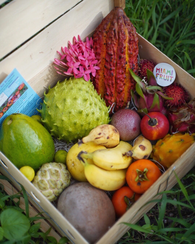 🌱Vegan Block Party Box📦 Discounted Pre-order SALE💖