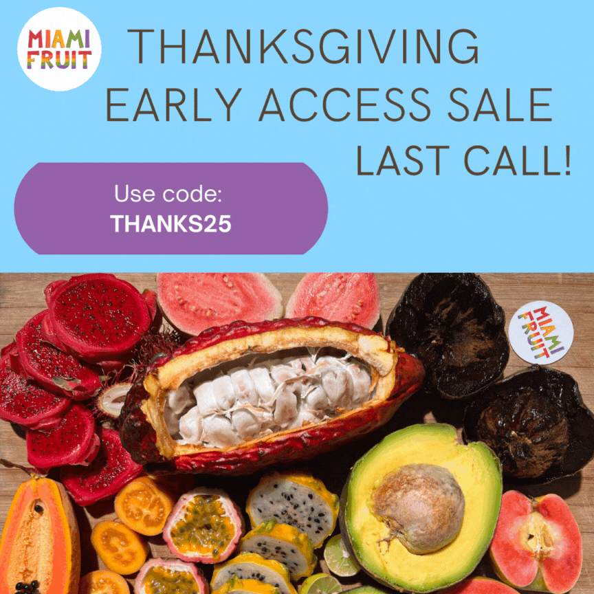 Last Call For 25% Off 🍂 Thanksgiving Early Access SALE! 🥳