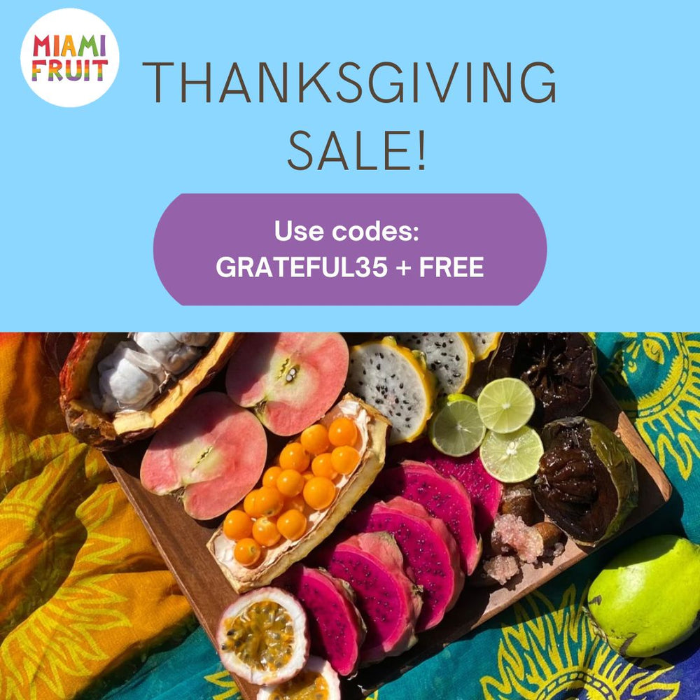Get $35 Off + FREE Shipping✨Thanksgiving SALE! 🤩