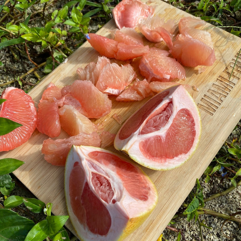 Pomelo season is starting! 🌳