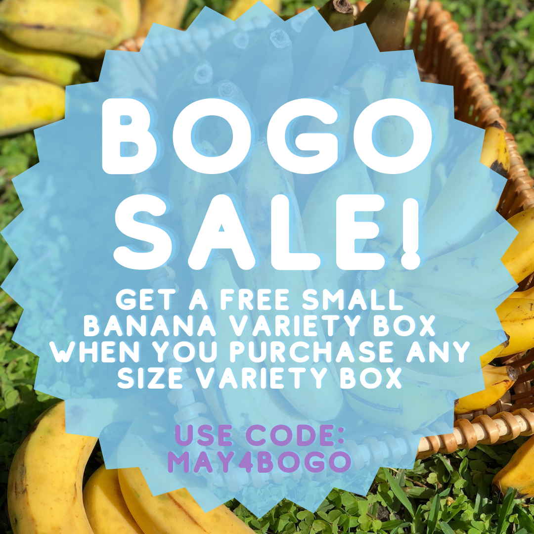 Free Small Banana Variety Box 🍌 May The Fourth Be With You 🌌 – Miami Fruit