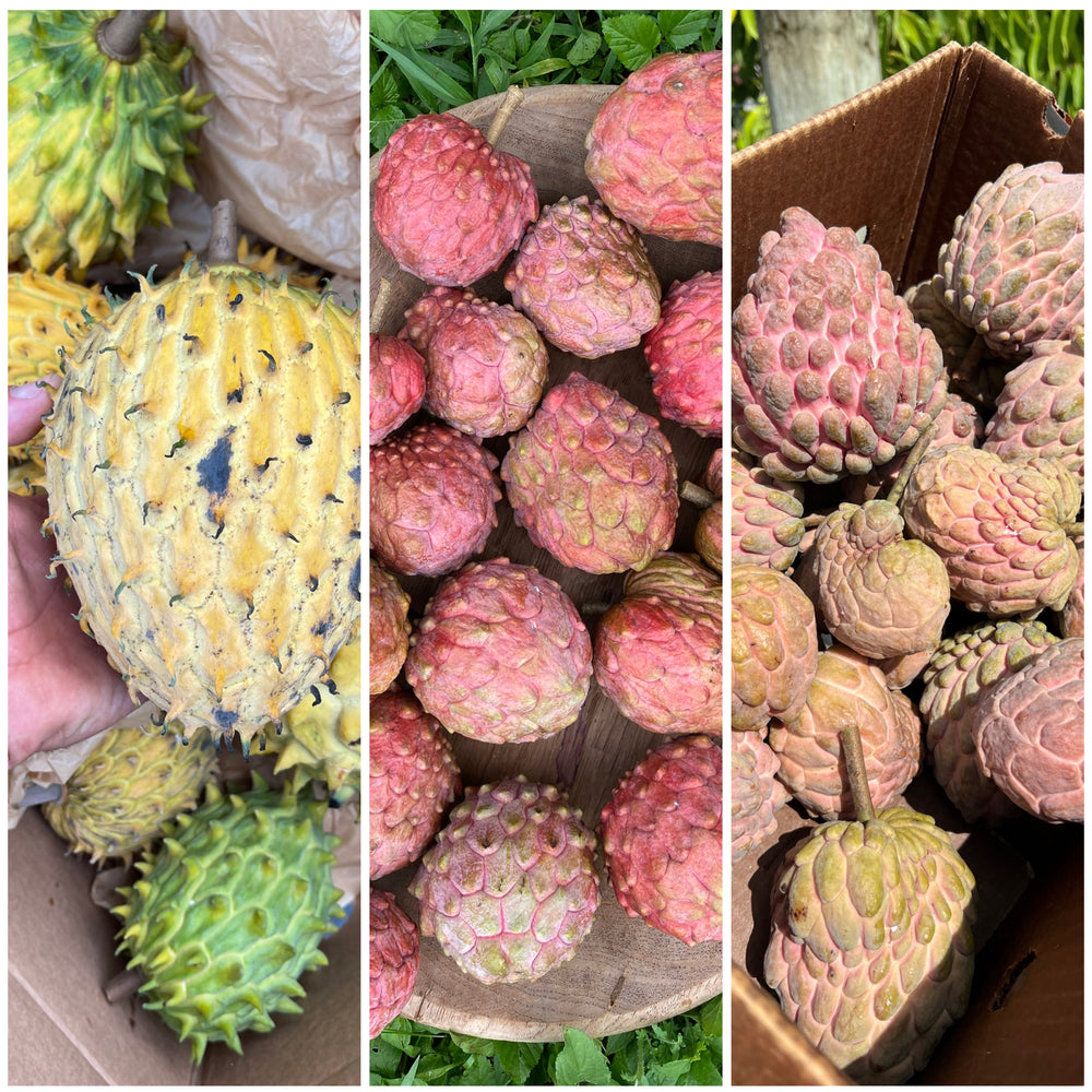 3 Annona varieties that you MUST try! 😍