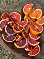 Blood Orange SALE 🍊