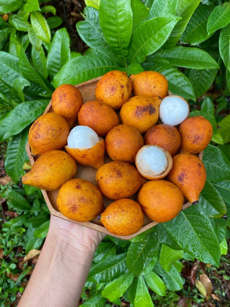 Achacha Fruit is now available! 🧡