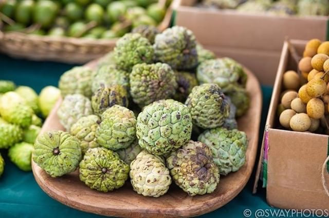 FRESH SUGAR APPLE HARVEST! 💚🌈🙏