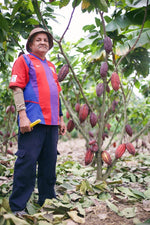 Learn more about cacao history in Ecuador ❤️