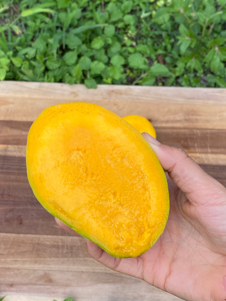 Carrie Mango is Available 🥭
