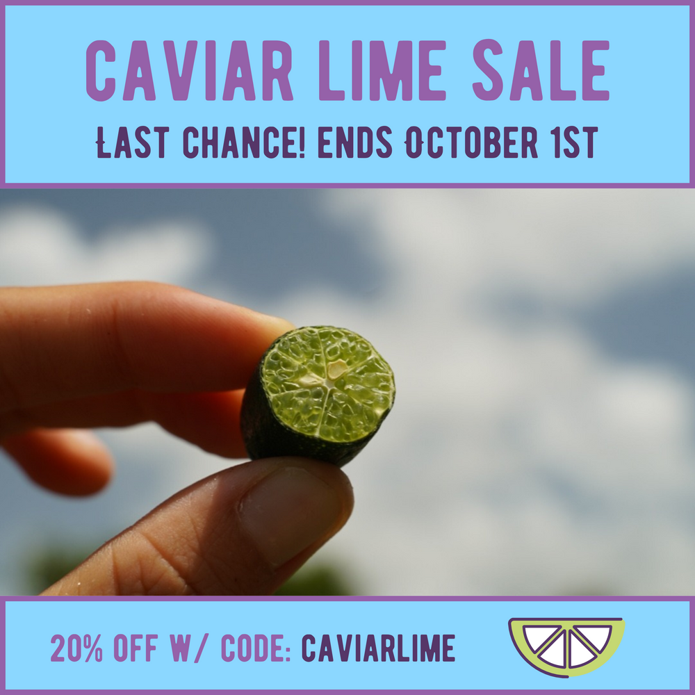 Caviar lime sale is ending ⌛️