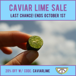 Caviar lime sale is ending ⌛️