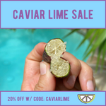 Caviar Lime SALE! 😍