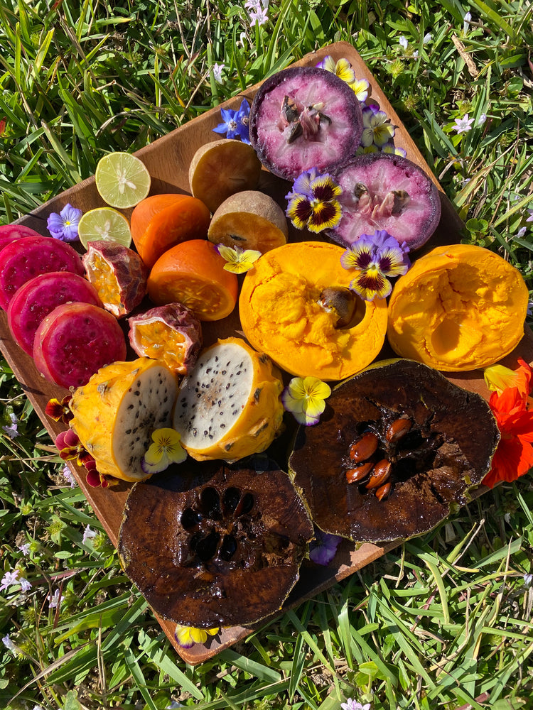 Early January Harvest Update🌈