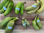 Find out what banana varieties we had this week 🍌