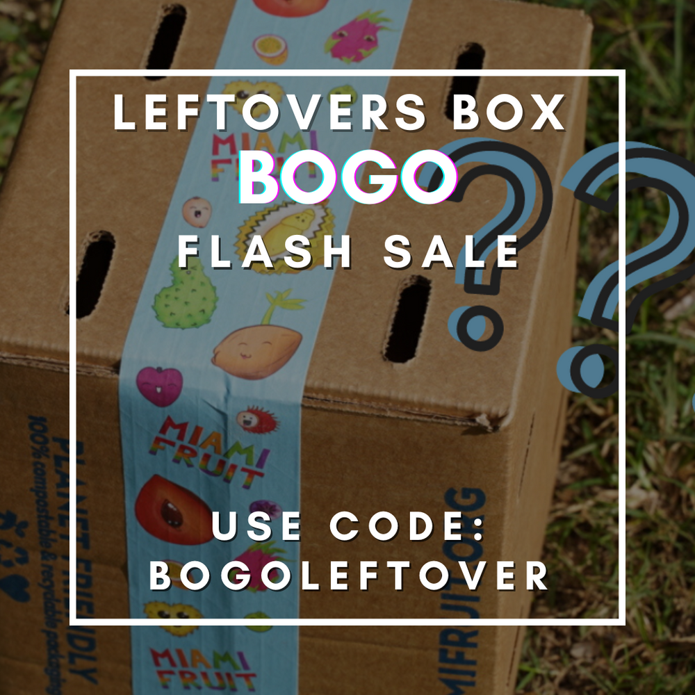 Leftovers Box BOGO Sale 🥳✨