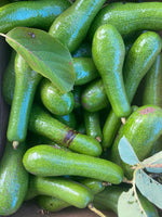 Don't miss these amazing LONG NECK avocados! 🥑