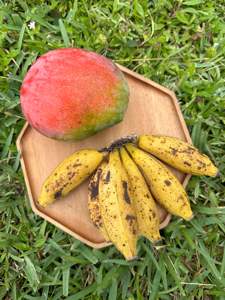 Mango Banana BOGO 🍌 SALE