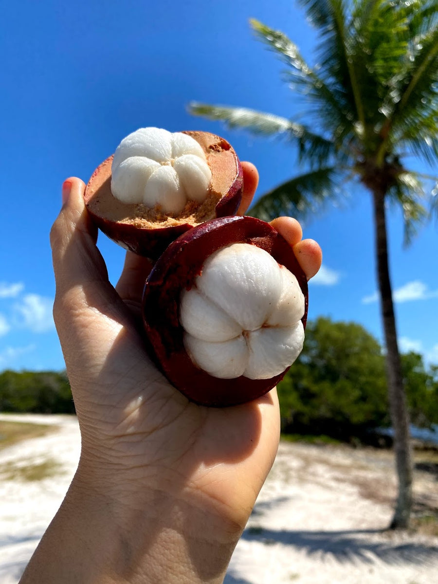 Mangosteen is available now! 💜 Miami Fruit