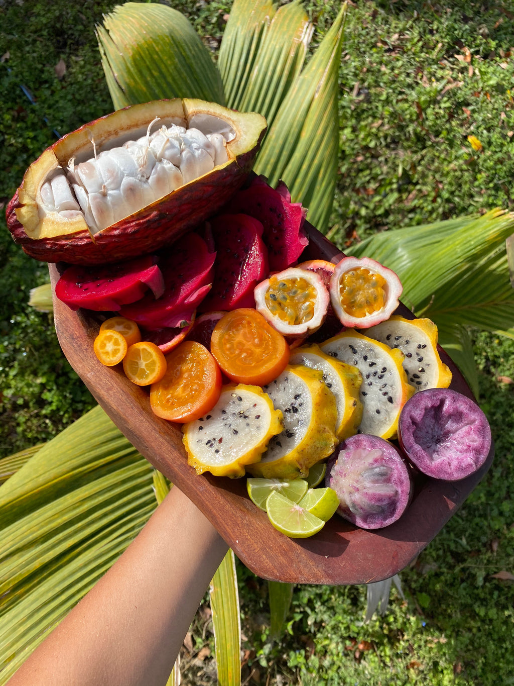 maramフルーツ Mid April Harvest Update 🍌 – Miami Fruit