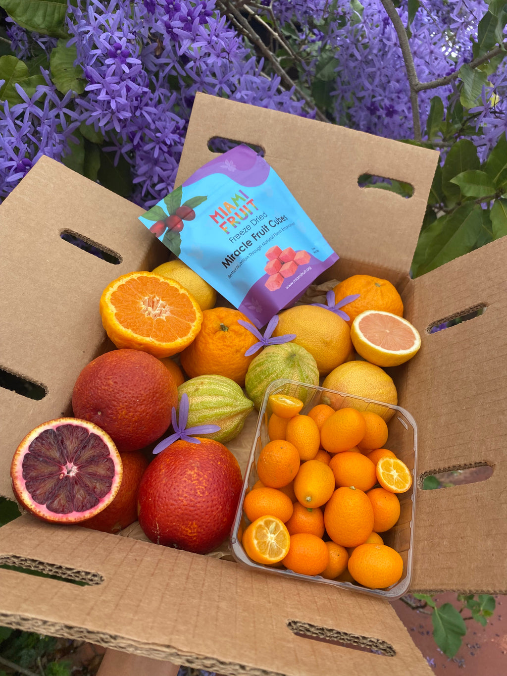 The sweetest citrus you'll ever eat 🍋 – Miami Fruit