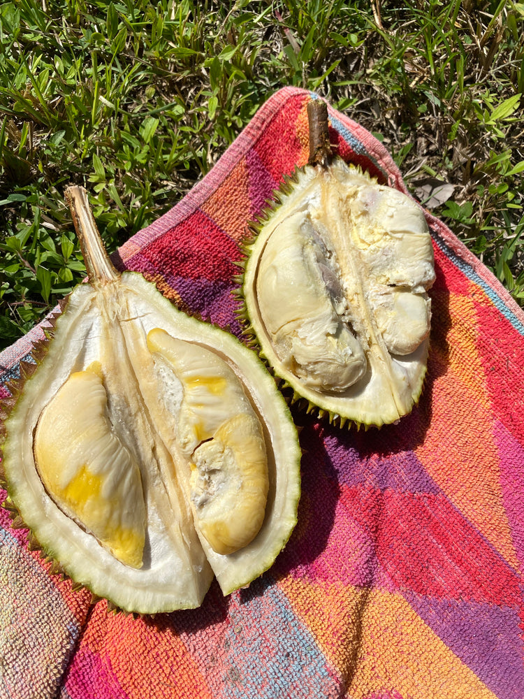 Whole Musang King & D24 Durian 👑 SALE