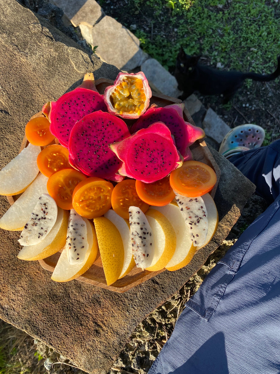 Early October Harvest Update 🌈 – Miami Fruit