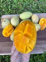 Orange Sherbet Mango Now Available! 🍊