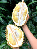 Fresh CHANEE Durian BOGO50%! 🌟