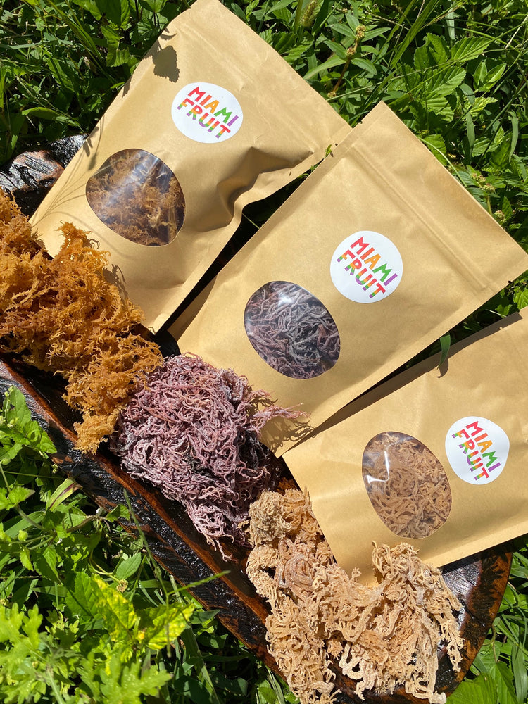 NEW✨ Sea Moss Variety Pack