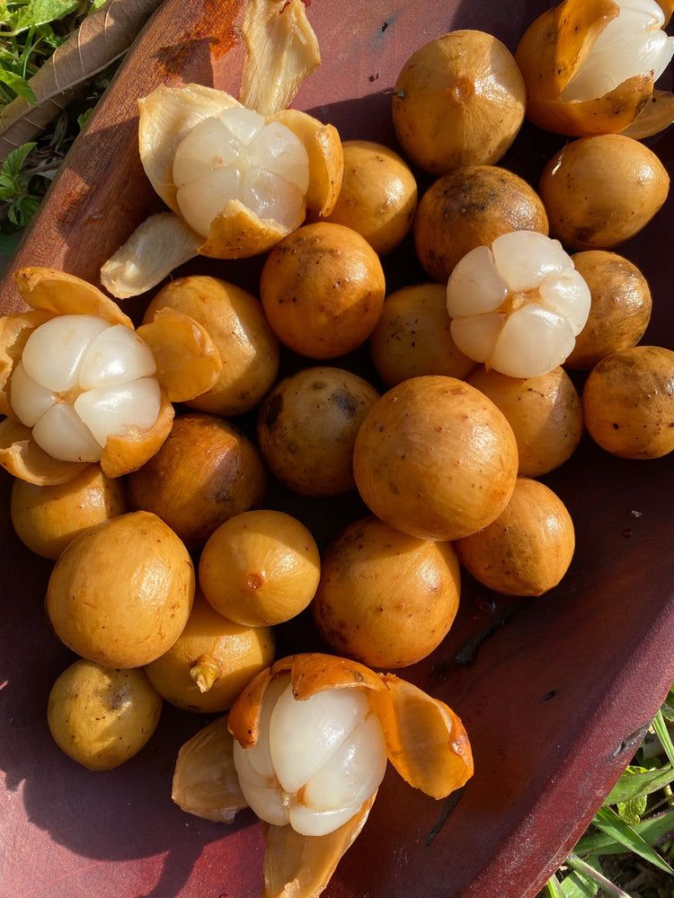 Frozen Langsat is back in stock!