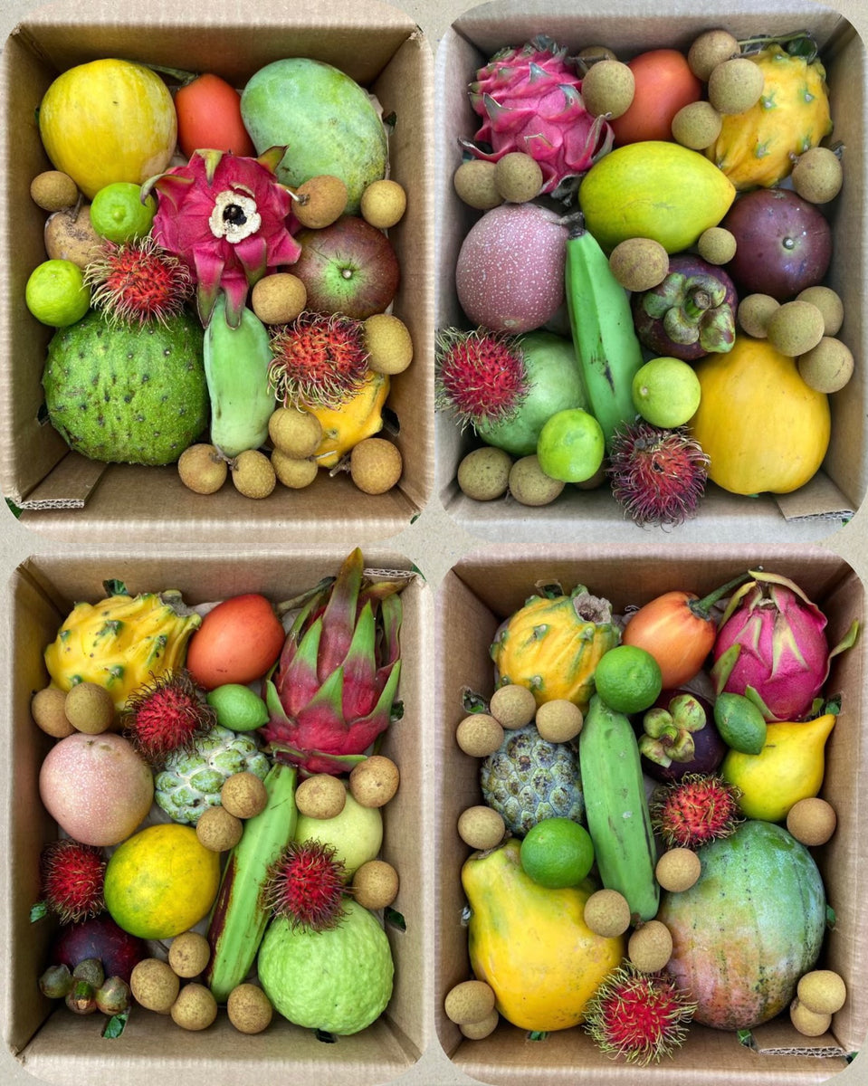 Liven Up Summer Date Nights With Our Variety Box! 😍 Miami Fruit