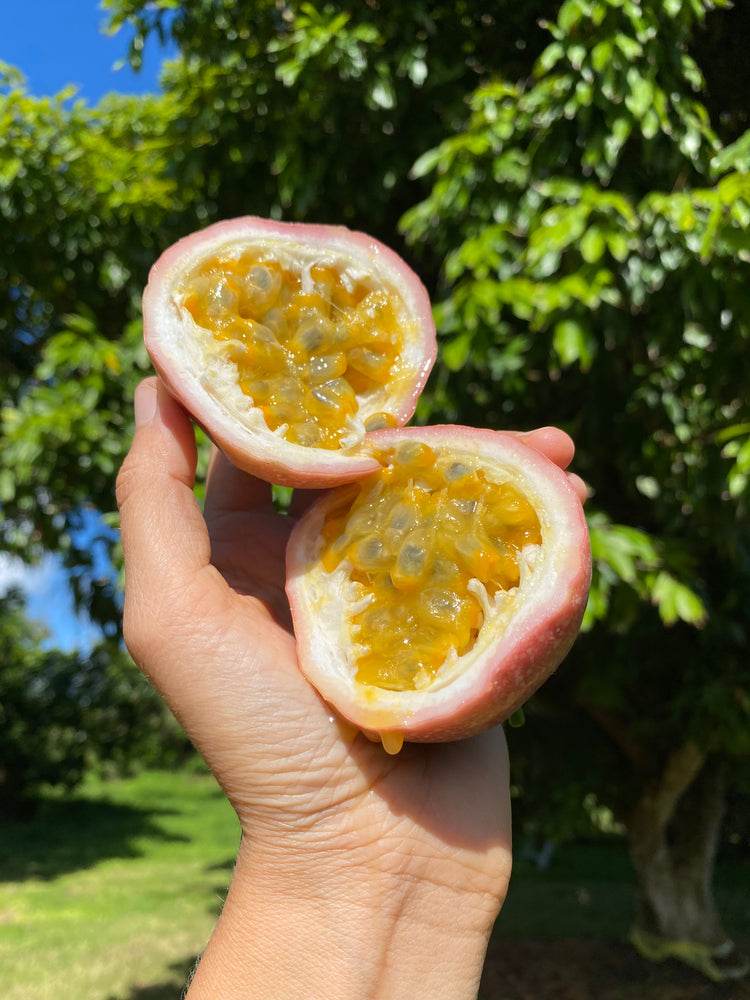New Pink "Lychee" Passionfruit Available! 💖
