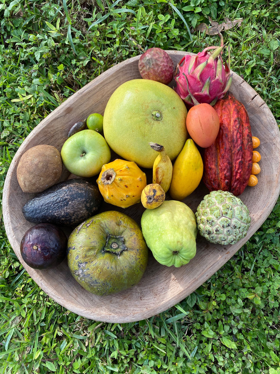 50% off Variety Box 🌈 Black Friday SALE – Miami Fruit