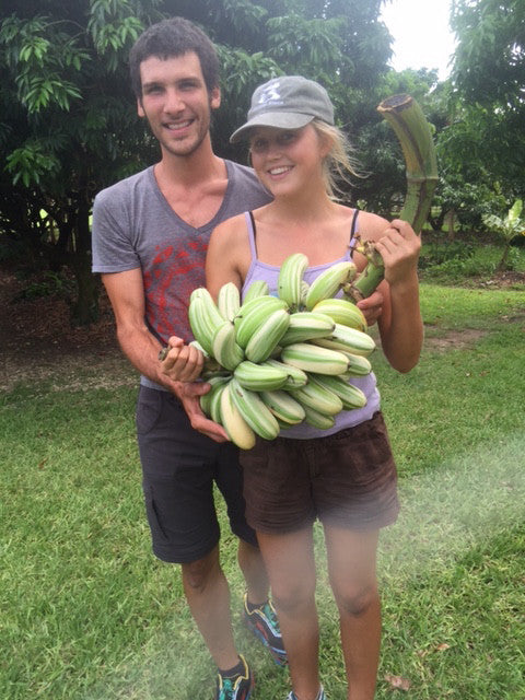 Happy 1 Year Anniversary Miamifruit.org!🎉