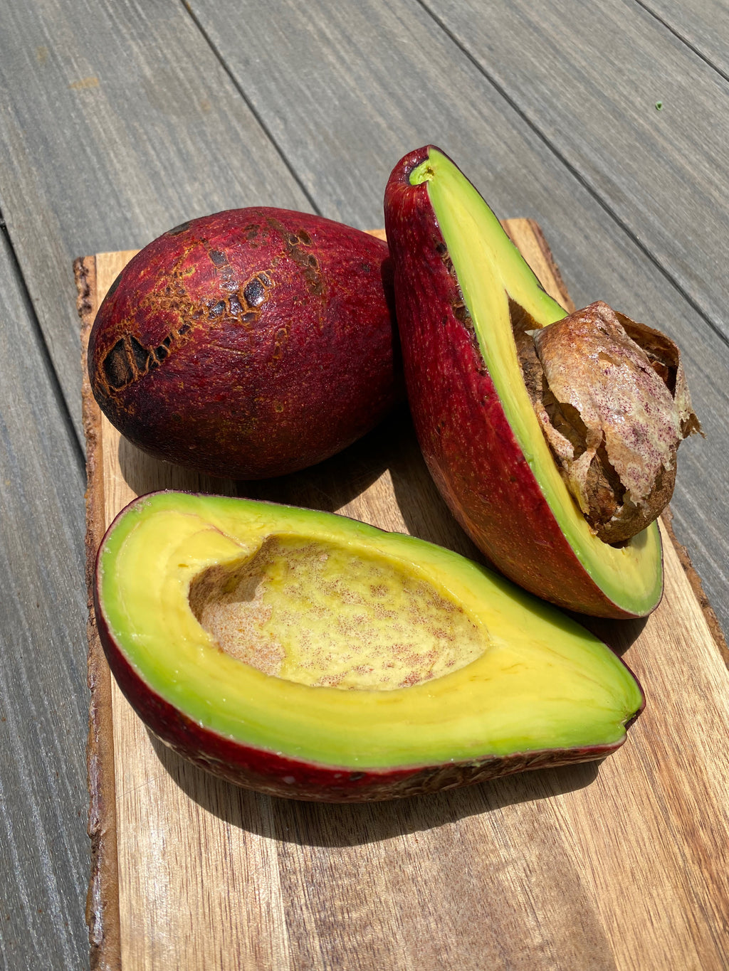 Red Avocado is back! 🥑 – Miami Fruit