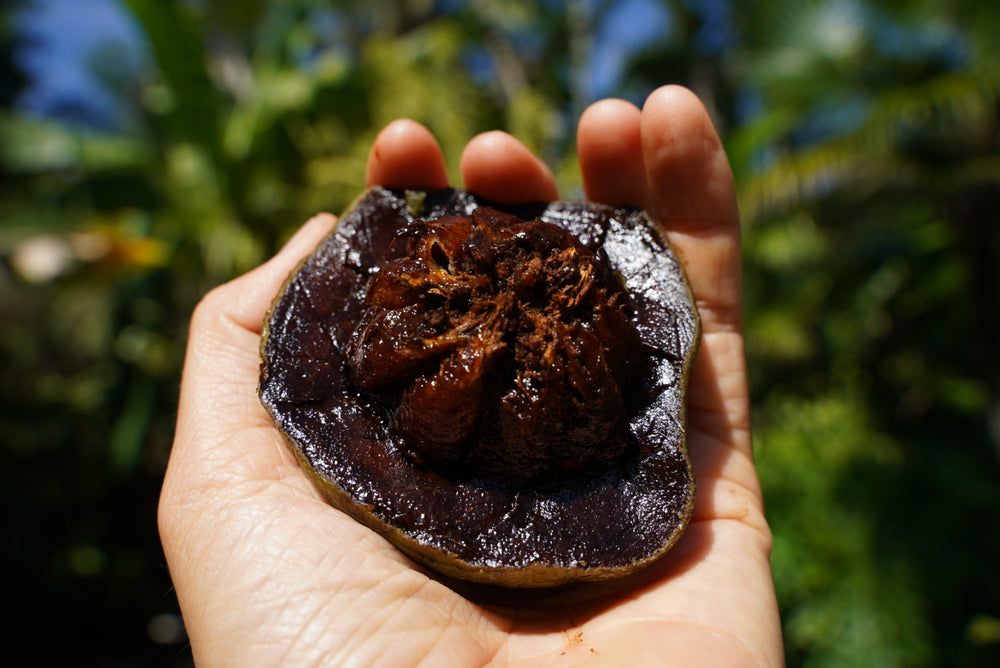 New Video😍 How to Tell When Black Sapote is Ripe 🖤