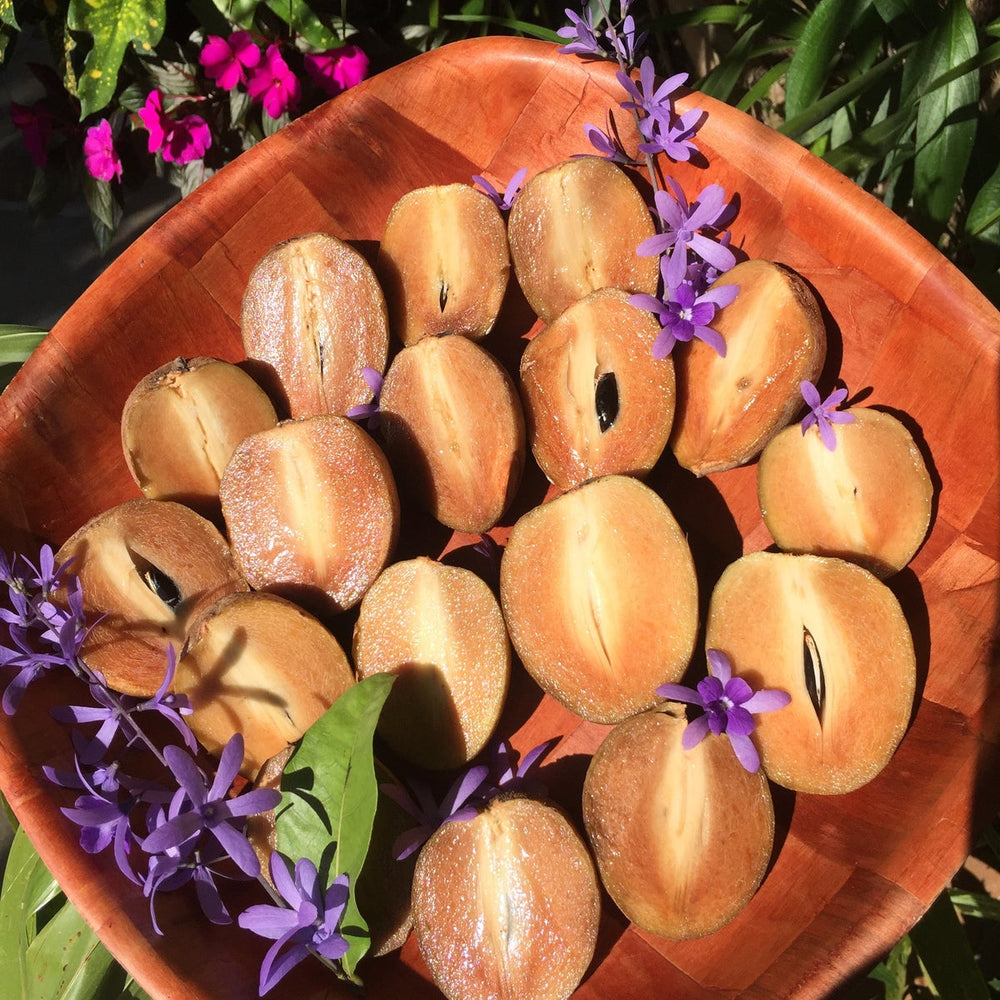 Winter is Sweeter with Sapodilla 🥔