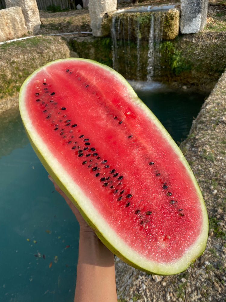 It's Seeded Watermelon Season! 🍉