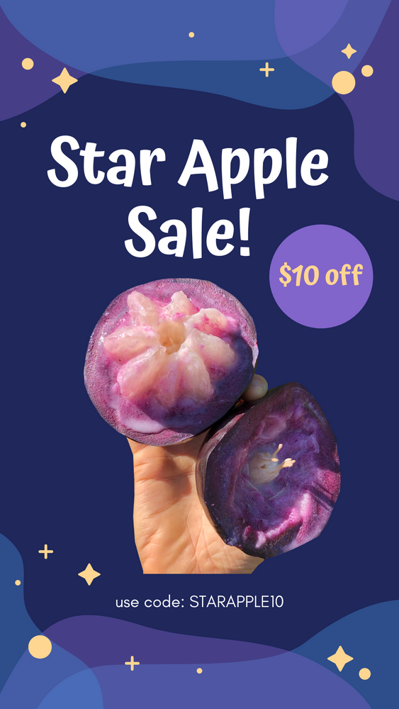 🌟 Star apple SALE! $10 OFF