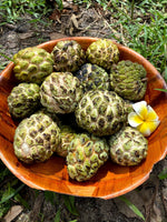 Sugar Apple Season is starting! 💚