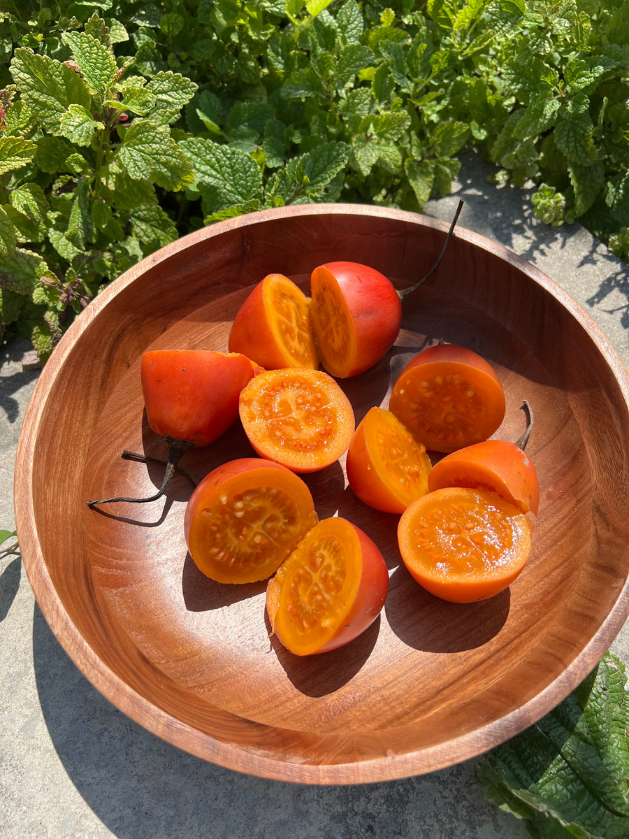 Learn more about Tree Tomato 🍅 – Miami Fruit